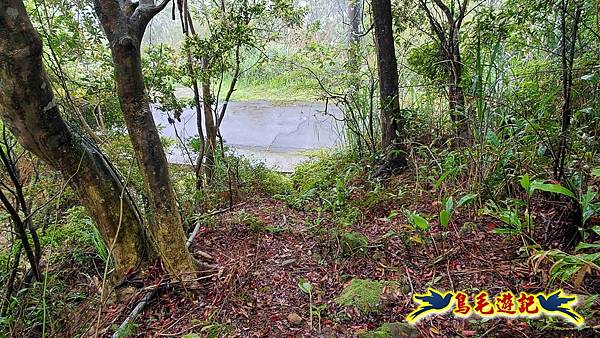 大崙古道崩山大崙熱腸古道石碇大崙縱走 (59).jpg