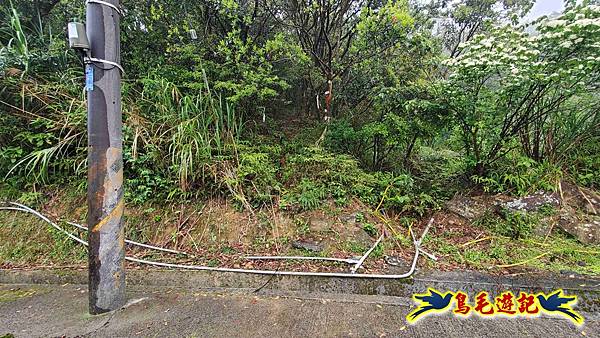 大崙古道崩山大崙熱腸古道石碇大崙縱走 (62).jpg