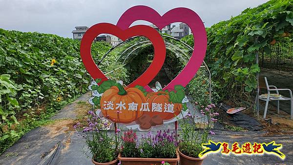 2025淡水南瓜隧道 (24).jpg