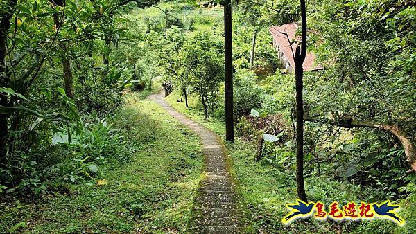 大華車站幼坑崙幼坑聚落古道平湖步道乾坑古道石龜將軍O形 (8).jpg