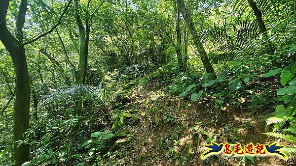 翡翠灣-玉田古道-北八斗山-神主嶺古道-仁愛之家 (6).jpg 翡翠灣-玉田古道-北八斗山-神主嶺古道-仁愛之家 (6).jpg