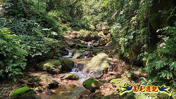 翡翠灣-玉田古道-北八斗山-神主嶺古道-仁愛之家 (20).jpg 翡翠灣-玉田古道-北八斗山-神主嶺古道-仁愛之家 (20).jpg