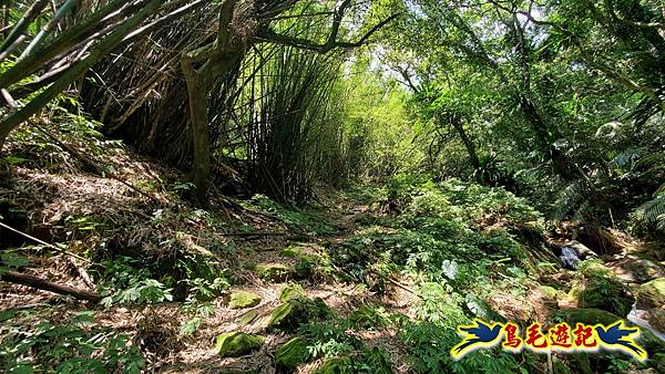 翡翠灣-玉田古道-北八斗山-神主嶺古道-仁愛之家 (22).jpg 翡翠灣-玉田古道-北八斗山-神主嶺古道-仁愛之家 (22).jpg
