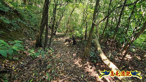 翡翠灣-玉田古道-北八斗山-神主嶺古道-仁愛之家 (30).jpg 翡翠灣-玉田古道-北八斗山-神主嶺古道-仁愛之家 (30).jpg