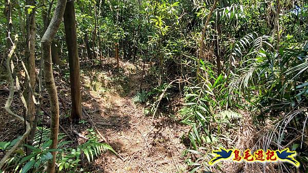 翡翠灣-玉田古道-北八斗山-神主嶺古道-仁愛之家 (32).jpg 翡翠灣-玉田古道-北八斗山-神主嶺古道-仁愛之家 (32).jpg