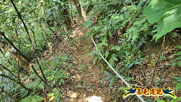 翡翠灣-玉田古道-北八斗山-神主嶺古道-仁愛之家 (42).jpg 翡翠灣-玉田古道-北八斗山-神主嶺古道-仁愛之家 (42).jpg