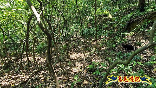 翡翠灣-玉田古道-北八斗山-神主嶺古道-仁愛之家 (52).jpg 翡翠灣-玉田古道-北八斗山-神主嶺古道-仁愛之家 (52).jpg