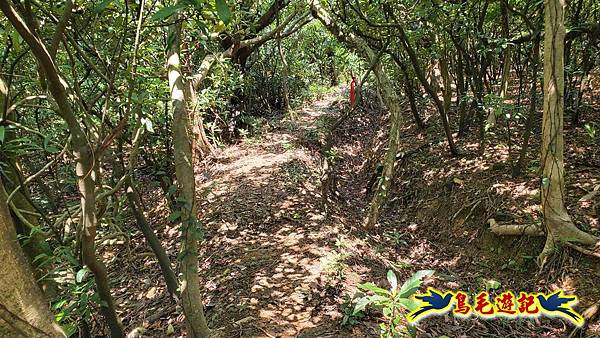 翡翠灣-玉田古道-北八斗山-神主嶺古道-仁愛之家 (56).jpg 翡翠灣-玉田古道-北八斗山-神主嶺古道-仁愛之家 (56).jpg