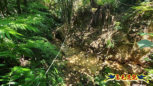 翡翠灣-玉田古道-北八斗山-神主嶺古道-仁愛之家 (58).jpg 翡翠灣-玉田古道-北八斗山-神主嶺古道-仁愛之家 (58).jpg