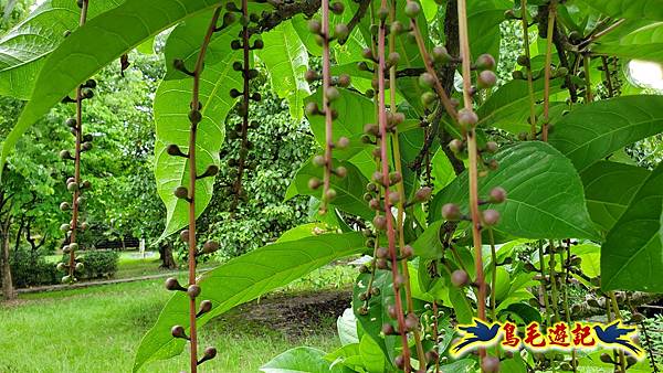 neo-06.jpg neo-06.jpg