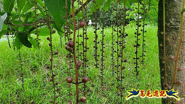 neo-08.jpg neo-08.jpg