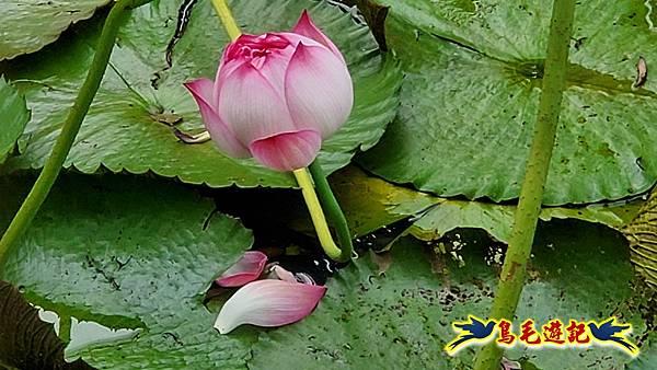 neo-11.jpg neo-11.jpg