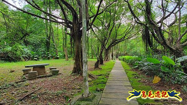 neo-12.jpg neo-12.jpg