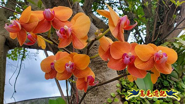 neo-14.jpg neo-14.jpg