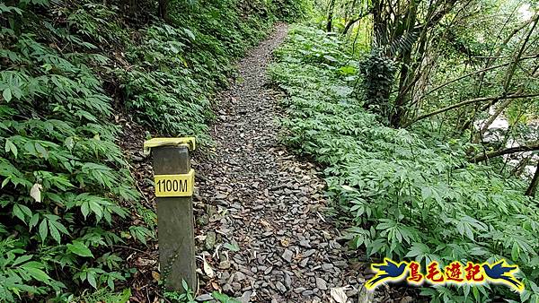 舊寮瀑布步道新舊寮山徑步道新寮瀑布步道O形 (19).jpg