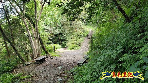 舊寮瀑布步道新舊寮山徑步道新寮瀑布步道O形 (29).jpg