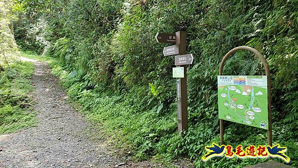 舊寮瀑布步道新舊寮山徑步道新寮瀑布步道O形 (32).jpg