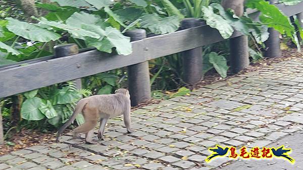 仁山步道 (12).jpg