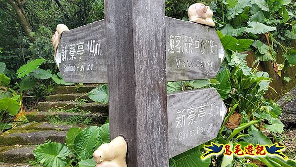 仁山步道 (9).jpg