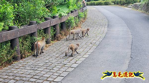 仁山步道 (14).jpg