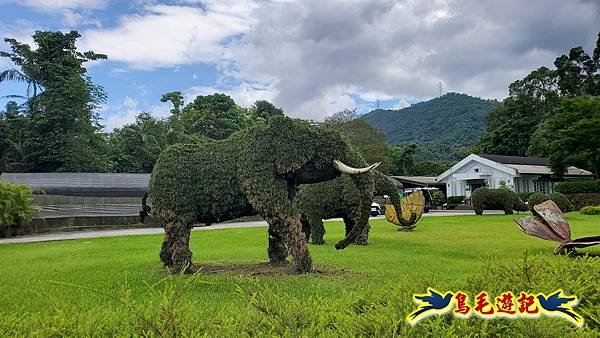 仁山步道 (22).jpg