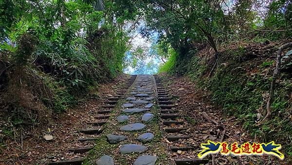 仁山步道 (31).jpg
