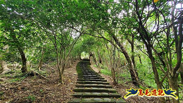 仁山步道 (37).jpg