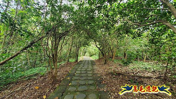 仁山步道 (36).jpg