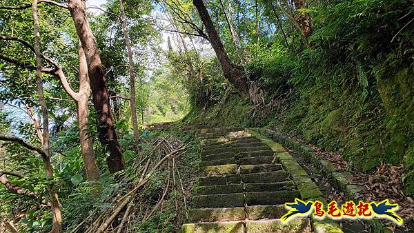 三貂嶺三層瀑布步道 (4).jpg