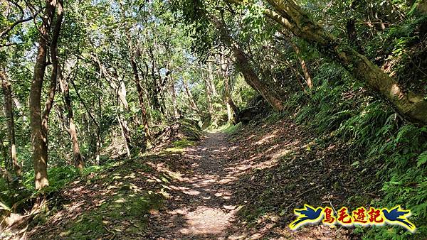 三貂嶺三層瀑布步道 (8).jpg