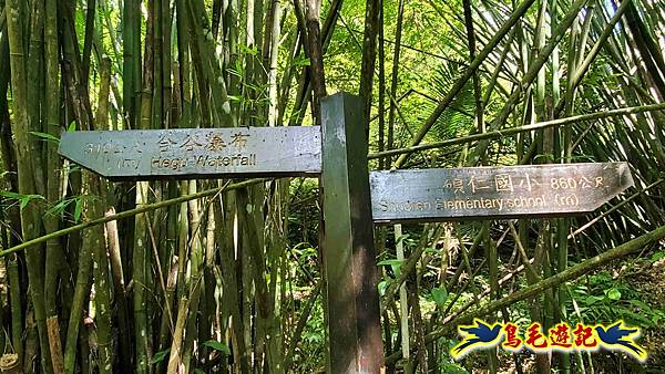 三貂嶺三層瀑布步道 (9).jpg