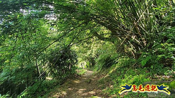 三貂嶺三層瀑布步道 (15).jpg