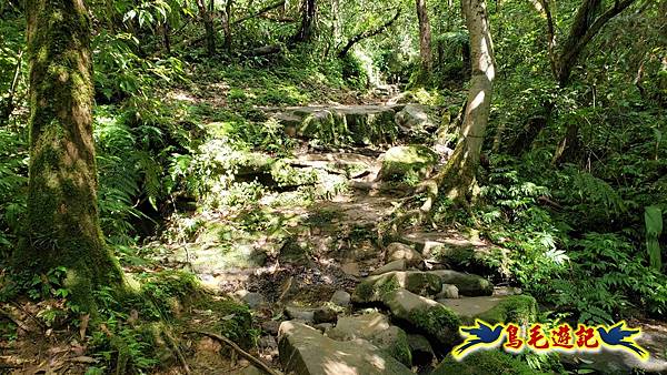 三貂嶺三層瀑布步道 (20).jpg