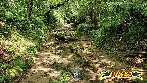 三貂嶺三層瀑布步道 (21).jpg