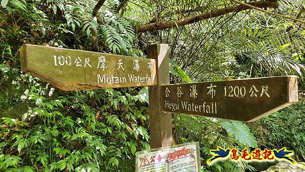 三貂嶺三層瀑布步道 (22).jpg