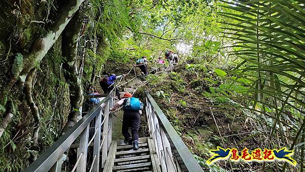三貂嶺三層瀑布步道 (29).jpg