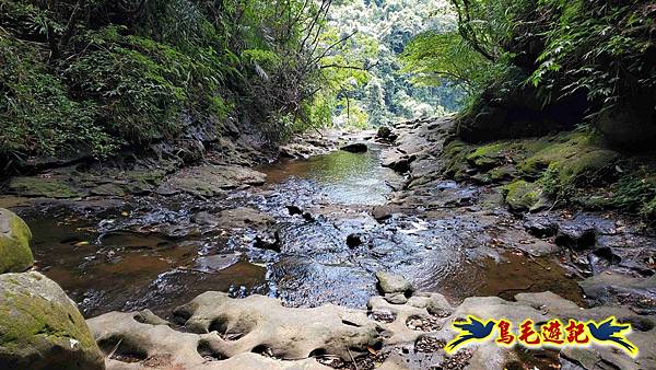 三貂嶺三層瀑布步道 (31).jpg