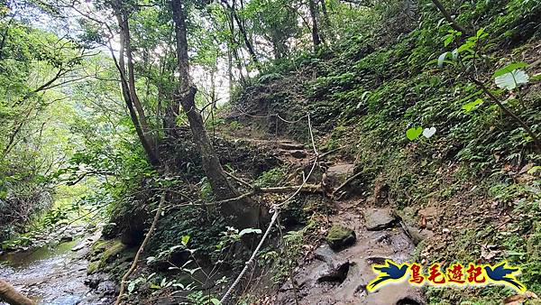 三貂嶺三層瀑布步道 (36).jpg