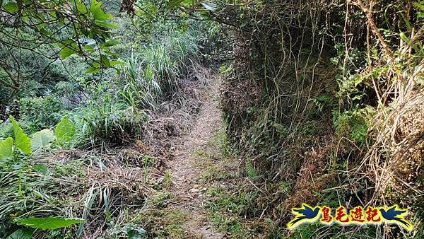 石梯坑古道苦命嶺和美山下北勢坑古道 (6).jpg