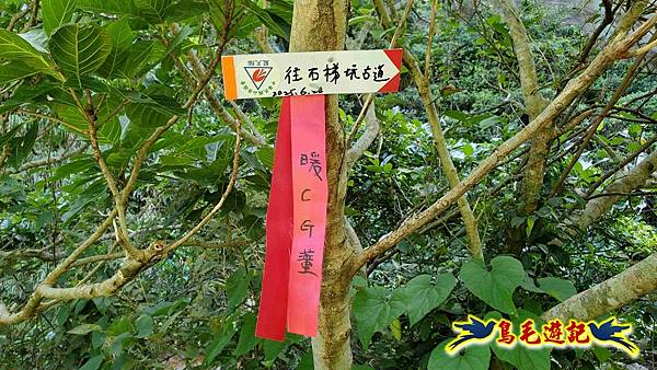 石梯坑古道苦命嶺和美山下北勢坑古道 (5).jpg