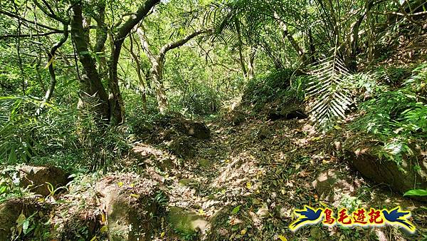 石梯坑古道苦命嶺和美山下北勢坑古道 (11).jpg