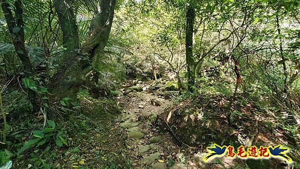 石梯坑古道苦命嶺和美山下北勢坑古道 (9).jpg