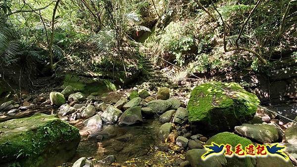 石梯坑古道苦命嶺和美山下北勢坑古道 (10).jpg