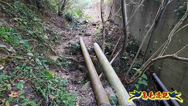 石梯坑古道苦命嶺和美山下北勢坑古道 (8).jpg