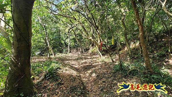 石梯坑古道苦命嶺和美山下北勢坑古道 (15).jpg