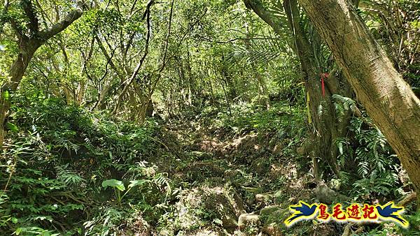 石梯坑古道苦命嶺和美山下北勢坑古道 (14).jpg