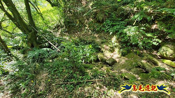 石梯坑古道苦命嶺和美山下北勢坑古道 (18).jpg