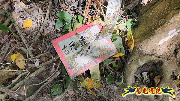 石梯坑古道苦命嶺和美山下北勢坑古道 (19).jpg