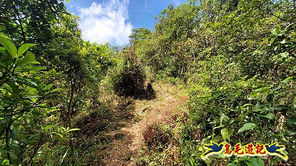 石梯坑古道苦命嶺和美山下北勢坑古道 (20).jpg