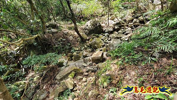 石梯坑古道苦命嶺和美山下北勢坑古道 (21).jpg